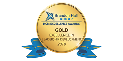 Minaya Learning Global Solutions received two Brandon Hall Excellence Awards for Healthcare professional training and also secured additional projects.